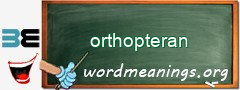 WordMeaning blackboard for orthopteran